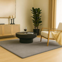 Tapis de salon poils ras doux antiderapant 200x300cm uni gris