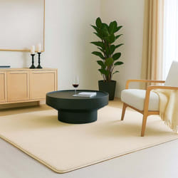 Tapis de salon poils ras doux antiderapant 80x150cm uni beige