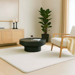 Tapis de salon poils ras doux antiderapant 80x150cm uni crème