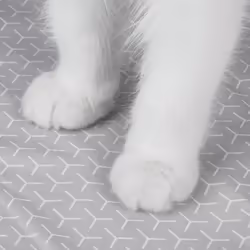 PETKIT T4-2-Mat - Vue supplémentaire 7