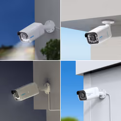 Reolink P430 Cosse Caméra de sécurité IP Intérieure et extérieure 3840 x 2160 pixels Mur