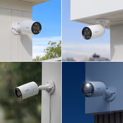 Reolink P330M Cosse Caméra de sécurité IP Intérieure et extérieure 3840 x 2160 pixels Mur