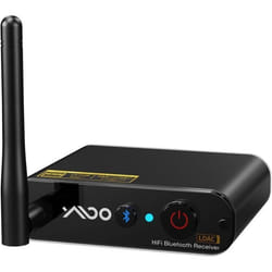 Récepteur Bluetooth - YMOO - DS200Plus - HiFi - Longue Portée - DAC ESS Intégré