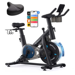 Vélo D'appartement, Vélo D'exercice, D'intérieur, 16 Niveaux De Résistance Magnétique, Avec Écran lcd Amélioré Et Siège Réglable, Max Charge 122 kg