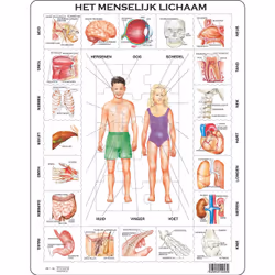 Larsen Maxi LA-OB1-NL, 35 pièce(s), 3 an(s)