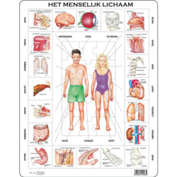 Larsen Maxi LA-OB1-NL puzzle Puzzle à formes 35 pièce(s)