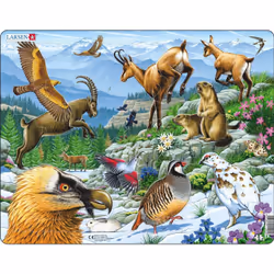 Larsen Maxi LA-FH12, 55 pièce(s), Flore et faune, 3 an(s)