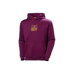 Sweatshirt à capuche Helly Hansen Fleece Graphic