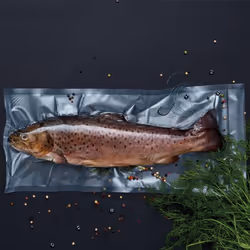 Wilfa VR-20300 Rouleau de scellement sous vide