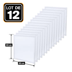 EUROPALAMP 12PCS60DL4000K éclairage de plafond