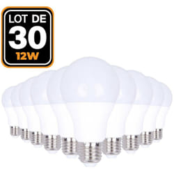30 Ampoules led E27 12W Blanc Froid 6000K Haute Luminosité