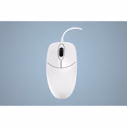 Active Key AK-PMJ1, Ambidextre, Optique, USB Type-A, 1000 DPI, Blanc