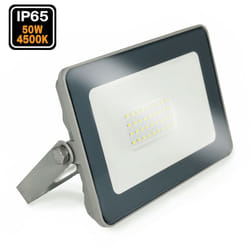 Europalamp - Projecteur led 50W ProLine Blanc neutre 4000K Haute Luminosité