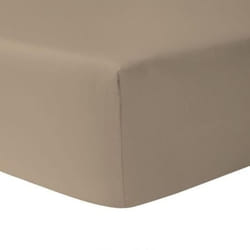 Drap housse double 70 x 190 cm 100 % coton TAUPE CLAIR - HOMEROKK