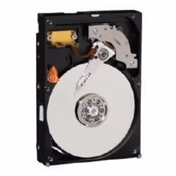 Western Digital AV 250GB 7200RPM SATA 8MB, 3.5", 250 Go, 7200 tr/min