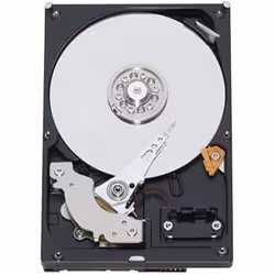 Western Digital RE3 250GB, 250 Go, 7200 tr/min