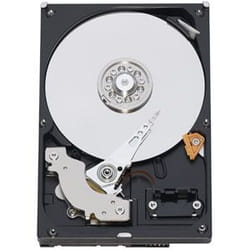 Western Digital RE3 250GB 250 Go SATA