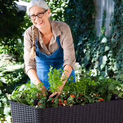 Keter EASY GROW Jardinière Autonome Résine Anthracite