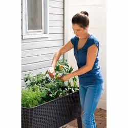 Keter EASY GROW Jardinière Autonome Résine Anthracite