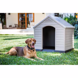 Curver 17360369 niche pour chien
