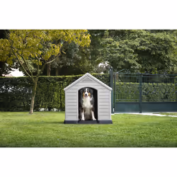 Curver 17360369 niche pour chien
