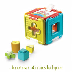 Tiny Love 2 in 1 Shape Sorter & Puzzle
