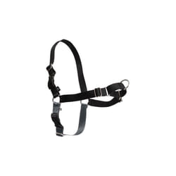 Petsafe - harnais easywalk chien s noir cynnotek CY3334