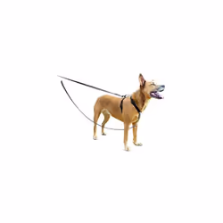 ANTI-TRACTION - La Laisse Anti-Traction pour Chien PetSafe vous permet de rediriger efficacement les tiraillements de votre c ...