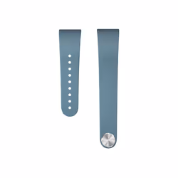 Sony SWR310 Bande Bleu, Rouge
