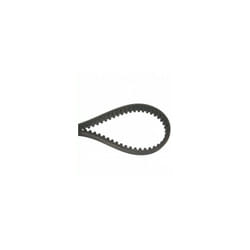 1134-9198-02 - Courroie Crantée (12x800mm) pour tondeuse autoportée STIGA PARK Coupe COMBI 95cm
