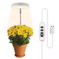 INF LED-ZWD48W-12D