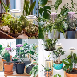 INF LED-ZWD48W-12D lampe de culture pour plantes Ampoule LED - Vue supplémentaire 3