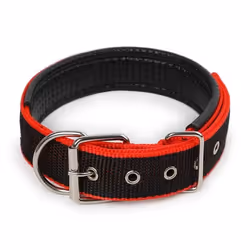 Collier de chien - INF - Réglable anti-étranglement - Multicolore - Taille moyenne - Nylon durable