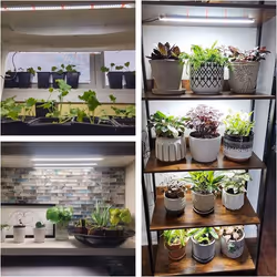 INF LED-JX781-11D lampe de culture pour plantes Ampoule LED