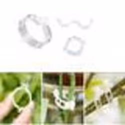 Pinces à plantes - INF - 100-pack - Transparent - Plastique - Résine