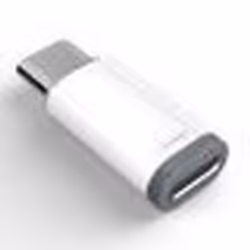 INF Adaptateur Lightning (femelle) vers USB-C (mâle)