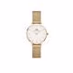 Montre Femme DANIEL WELLINGTON PETITE en Acier Jaune - Quartz - Verre minéral - Analogique