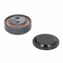 Galet tendeur, courroie d'accessoire SKF VKM 31040
