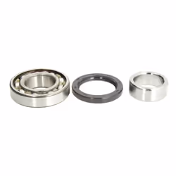 Jeu de roulements de roue SKF VKBA 3923