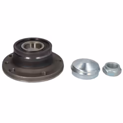 Jeu de roulements de roue SKF VKBA 3597