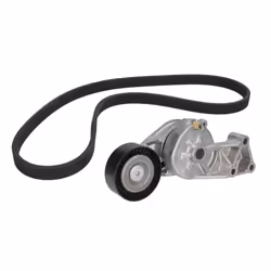 Jeu de courroies trapézoïdales à nervures SKF VKMA 31001