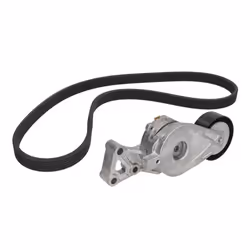 Jeu de courroies trapézoïdales à nervures SKF VKMA 31001