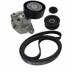 Jeu de courroies trapézoïdales à nervures SKF VKMA 38020 - Vue supplémentaire 5