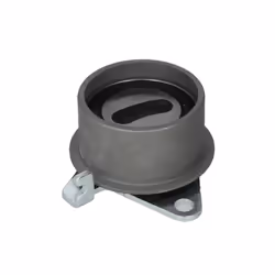 Galet tendeur, courroie de distribution SKF VKM 75625