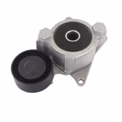 Galet tendeur, courroie d'accessoire SKF VKM 61016