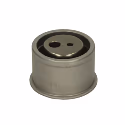 Galet tendeur, courroie de distribution SKF VKM 75630