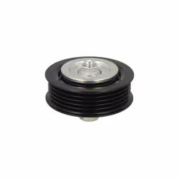 Galet enrouleur de courroie d'accessoire SKF VKM 61009