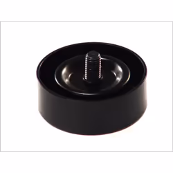 Galet enrouleur de courroie d'accessoire SKF VKM 65019