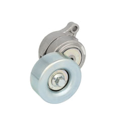 Galet tendeur, courroie d'accessoire SKF VKM 68002