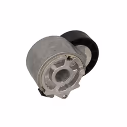 Galet tendeur, courroie d'accessoire SKF VKMCV 52013